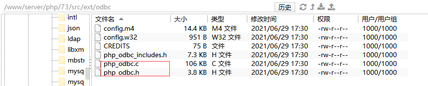 【明盘100】,解决个Linux 下 使用odbc_connect()